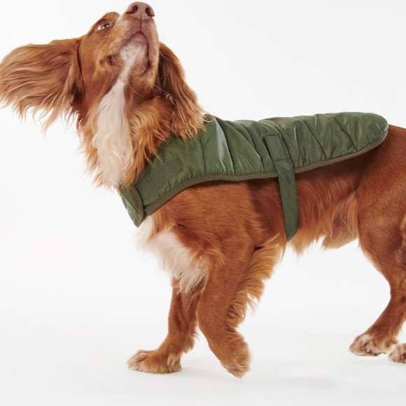 Barbour Other - BNWT Barbour Baffle Quilt Dog Coat Olive XL
